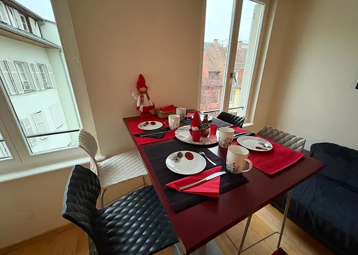 Appart 3P 57 M2 Le Coeur De La Krutenau Strasbourg